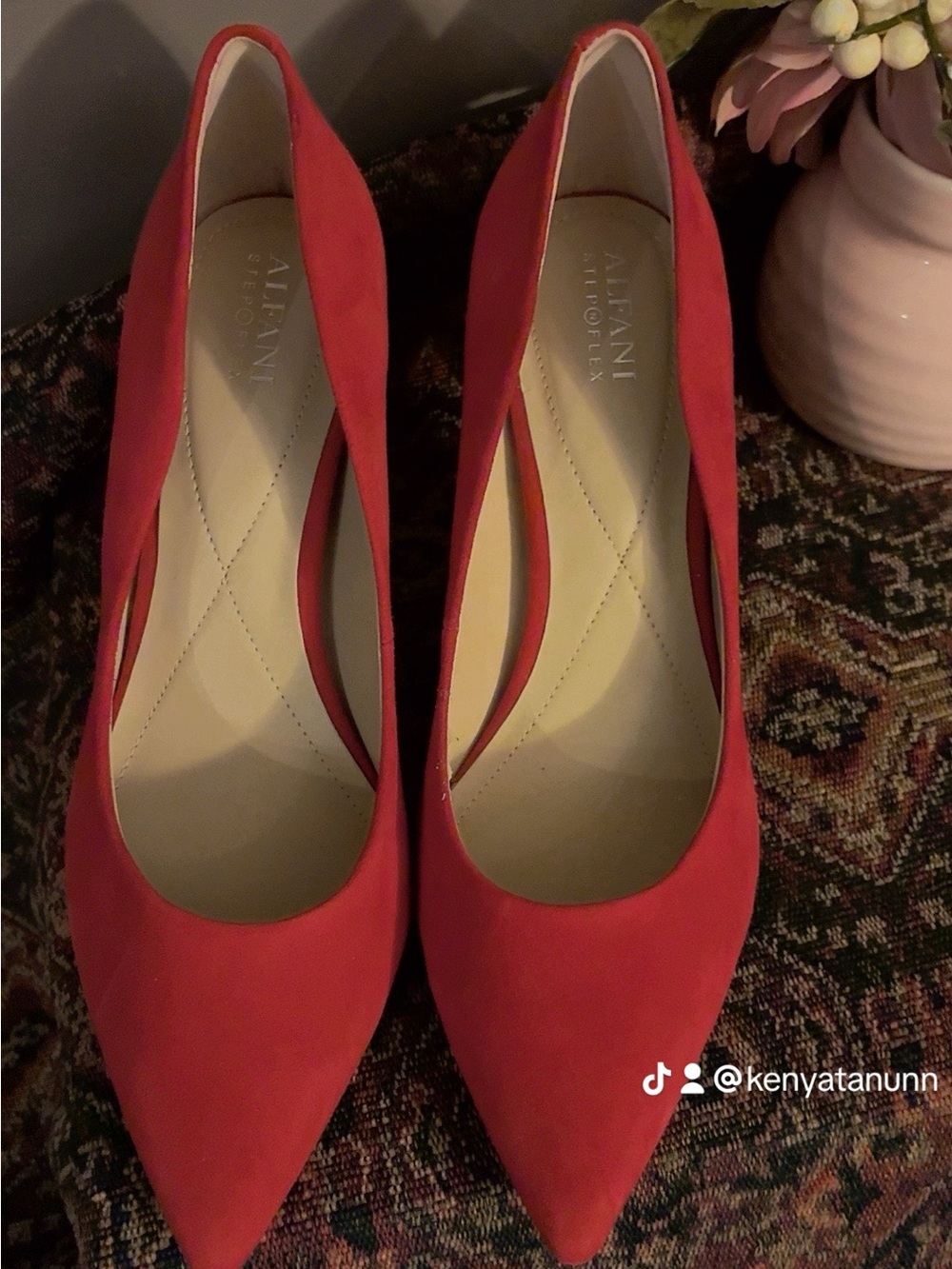 Alfani Classic Red Pointed-Toe Suede Pumps